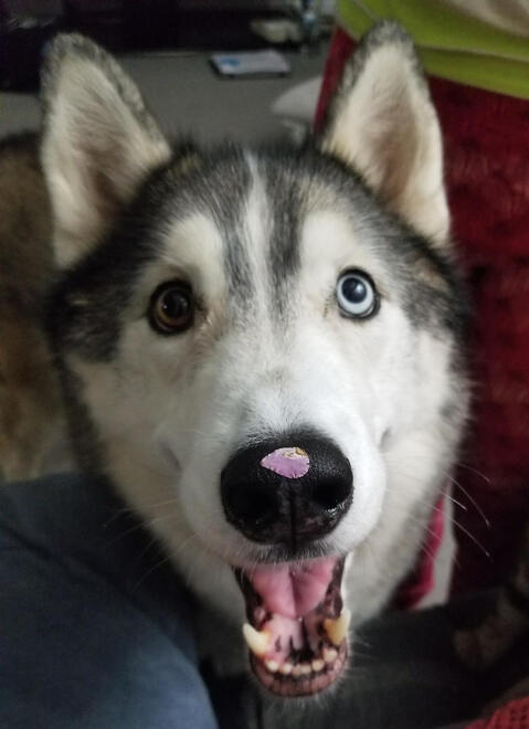 Fenris